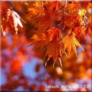 Takashi .M/Flickr/CC 2.0