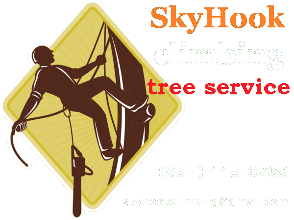 skyhook climbing logo